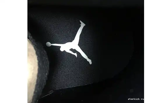 AH7389-003 AH7389-003 WMNS High Jordan Air Fossil 1 Mushroom Premium 0526